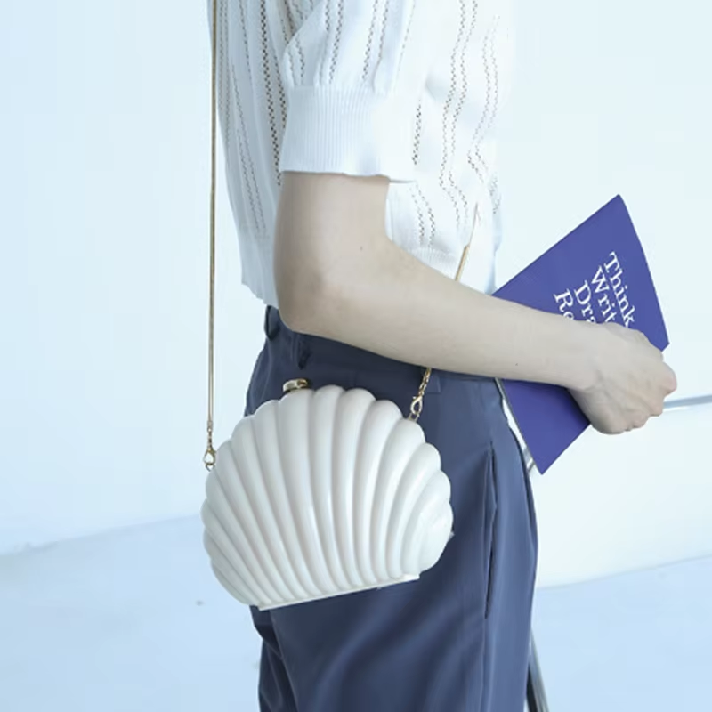 Lady Mini Shell Bag Acrylic Hi - Luxury Bags Cute 评论和价格